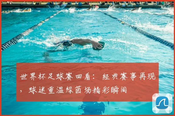 世界杯足球赛回看:经典赛事再现,球迷重温绿茵场精彩瞬间