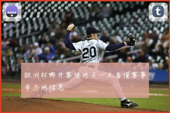 欧洲杯哪开赛场地点一文看懂赛事举办地信息